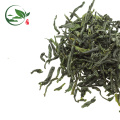 Té verde al por mayor en Guangzhou Green Tea Weight Loss